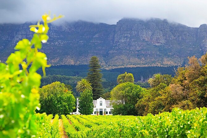 Experience 16 Wine Tasting & 6 Cheese Pairing across 3 Vineyards - How to make the most of the route