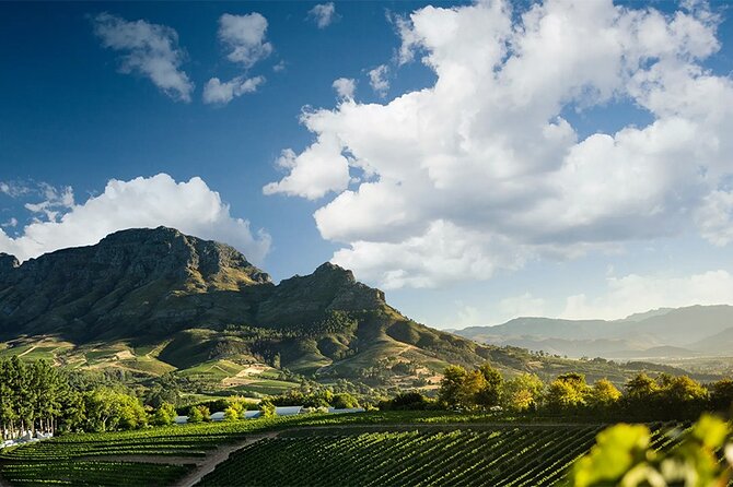 Experience 16 Wine Tasting & 6 Cheese Pairing across 3 Vineyards - Fairview: cheese, wine, and a working farm feel