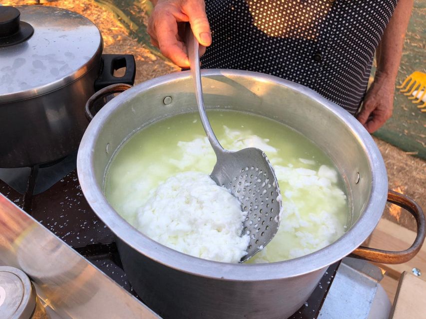 Farm Tour with Cheese-Making, Olive Oil Tasting & Picnic - What to wear and what the walk is like