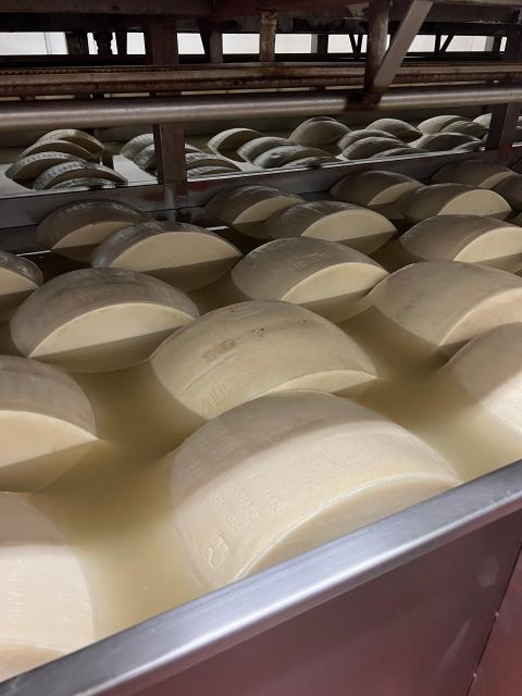 Ferrari Museum, Parmesan Cheese, Balsamic Vinegar Food Tour - From Bologna to the food heart of Emilia-Romagna