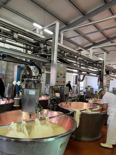 Ferrari Museum, Parmesan Cheese, Balsamic Vinegar Food Tour - Who will enjoy this tour most