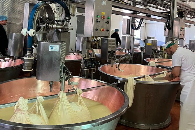 Ferrari, Parmesan and Balsamic Day Tour from Bologna - Key points at a glance