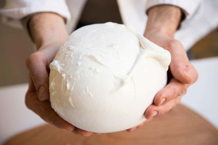 Florence: Mozzarella Making Workshop with Wine Tasting - What makes this cheese class worth two hours