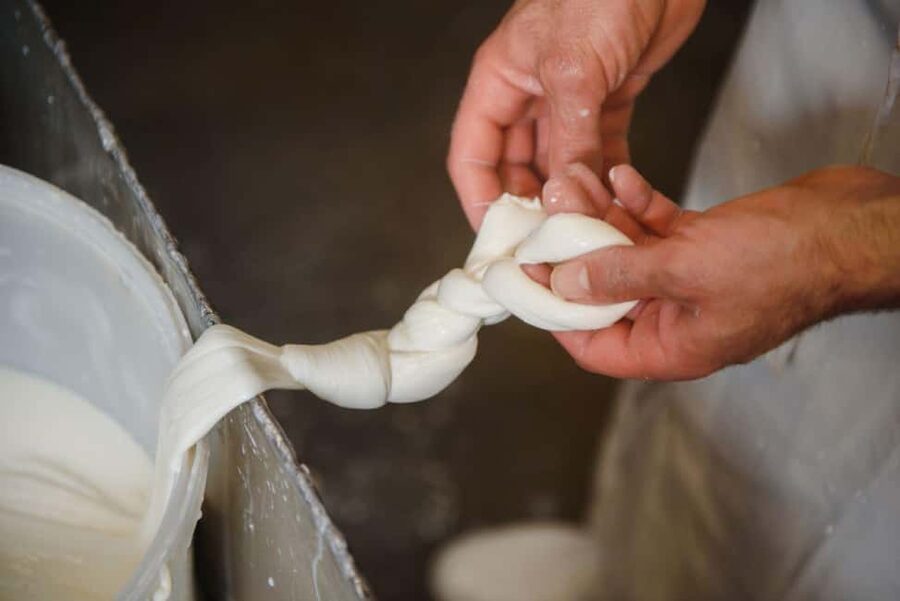 Florence: Mozzarella Making Workshop with Wine Tasting - Starting with Prosecco at Simbiosi Farm