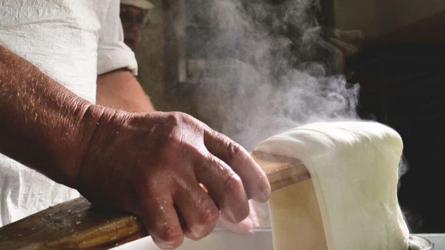 Florence: Mozzarella Making Workshop with Wine Tasting - Practical details before you book