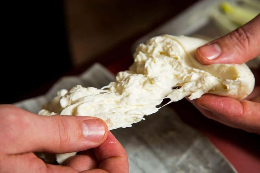 Florence: Mozzarella Making Workshop with Wine Tasting - Turning curd into mozzarella shapes