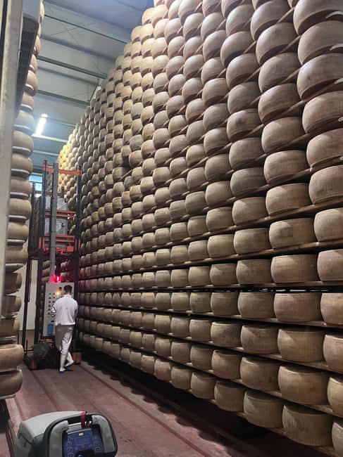 Florence:Private Ferrari Tour, Parmigiano & Balsamic Tasting - Guides, language, and the feel of the day