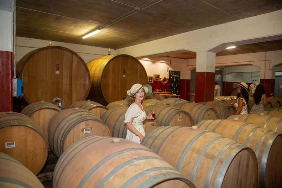 Florence: Secret of Wine and Cheese in a Winery - Leaving Florence for the Tuscan countryside