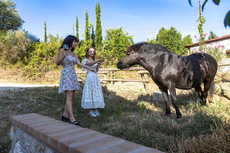 Florence: Secret of Wine and Cheese in a Winery - Ten cheeses and a proper countryside lunch