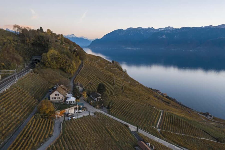Fondue in the heart of the Lavaux vineyard - Fondue with a view across Lavaux