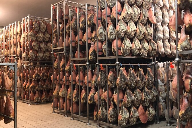 Food Excellences:Prosciutto, Parmigiano, Balsamic,Lunch,Transport - Booking, cancellation, and practical planning