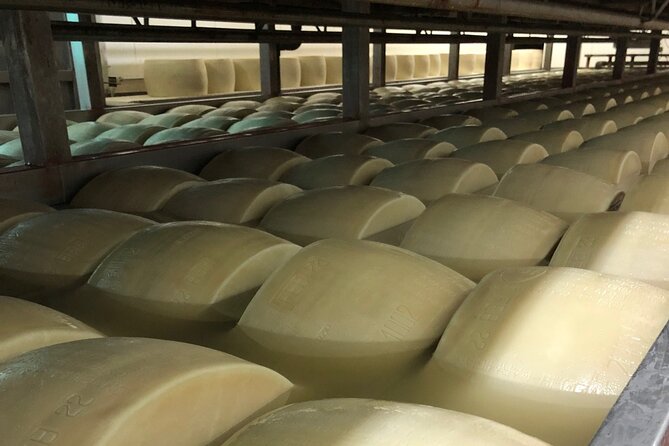 Food Excellences:Prosciutto, Parmigiano, Balsamic,Lunch,Transport - Parmigiano Reggiano at Caseificio Bio Reggiani