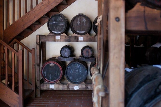 Food Tour: Parmigiano, Balsamic, Red Wine, lunch,transport - Key points to know before booking
