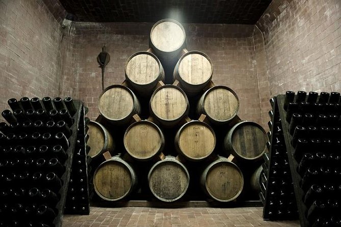 Food Tour: Parmigiano, Balsamic, Red Wine, lunch,transport - What the positive feedback tells you about the experience