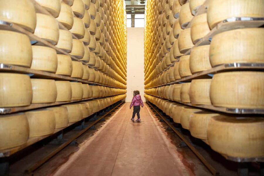 Formigine: Parmigiano tour with full tasting - Copper vats, curd, and the first three days