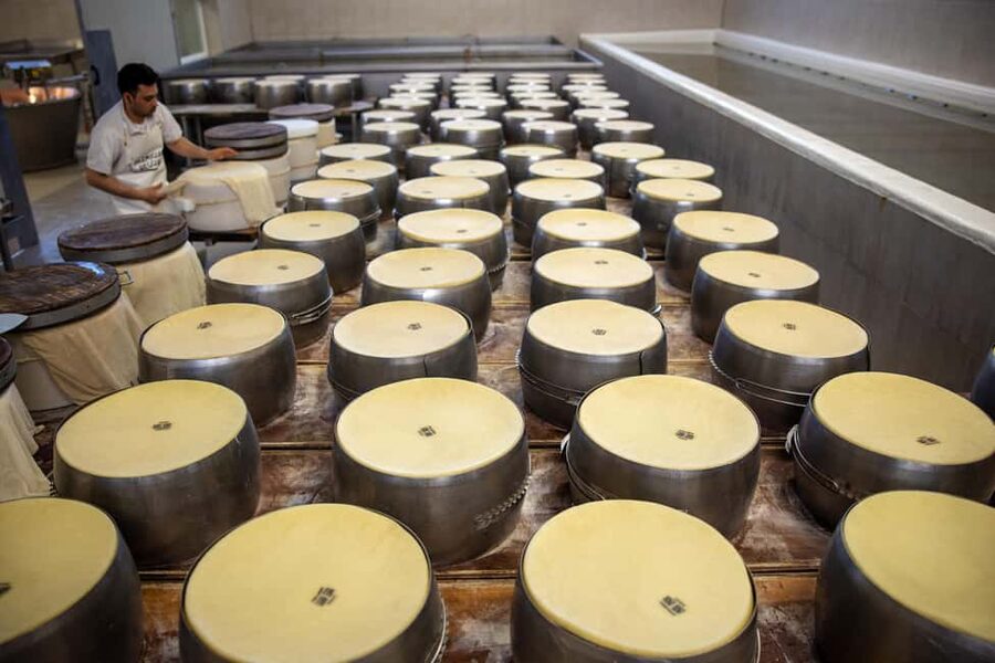 Formigine: Parmigiano tour with full tasting - Practical details for your visit
