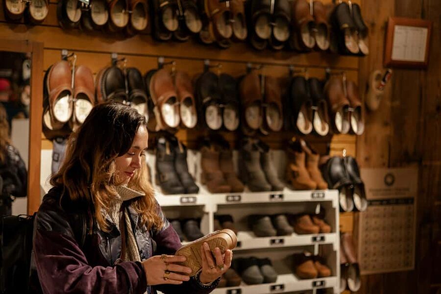 From Amsterdam: Volendam and Zaanse Schans Tour with Cheese - Is $40 a good value?