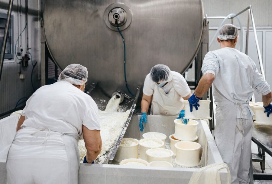 From Bologna: Parma Cheese & Ham Factory Tours and Tastings - Key points to know before booking