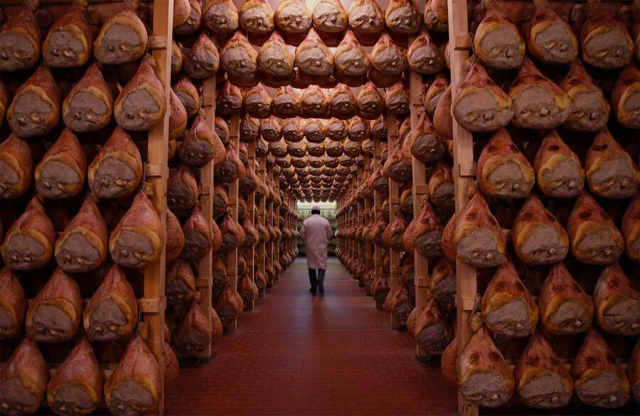From Bologna: Parma Cheese & Ham Factory Tours and Tastings - Seeing how Prosciutto di Parma is made