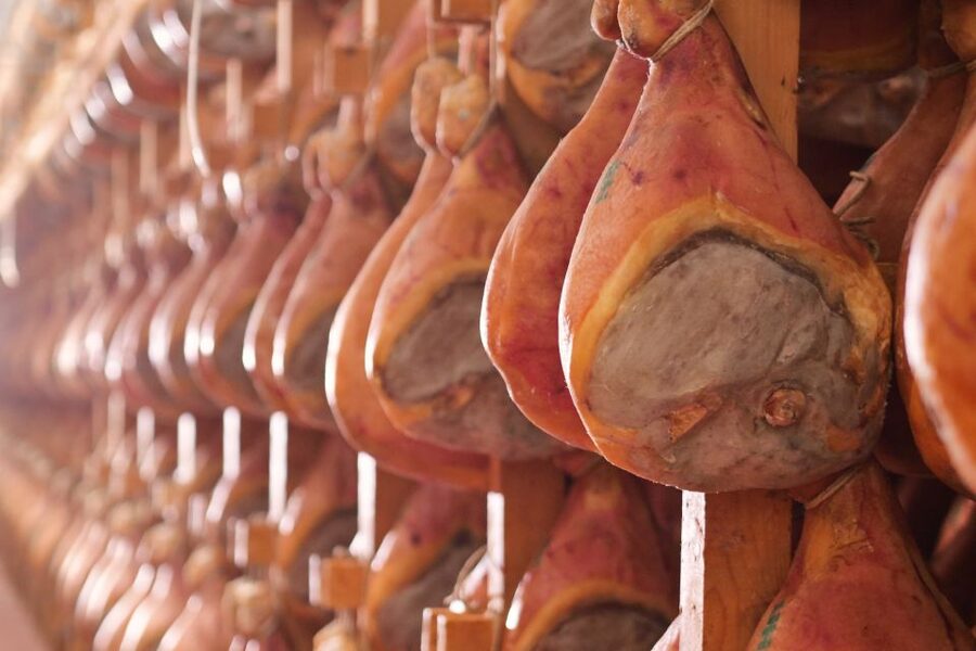 From Bologna: Parma Cheese & Ham Factory Tours and Tastings - The guides make the difference