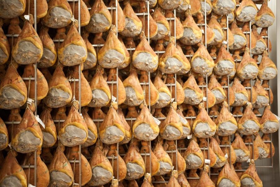 From Bologna: Parma Cheese & Ham Factory Tours and Tastings - Timing, comfort, and the practical details