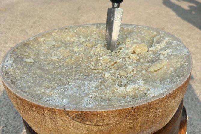 From Bologna: Parmesan Cheese & Balsamic Vinegar Tour+Lunch - Key points to know before booking