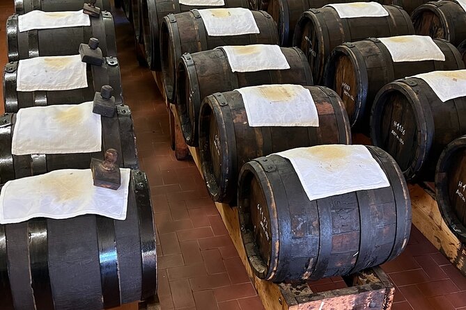 From Bologna: Parmesan Cheese & Balsamic Vinegar Tour+Lunch - A small group and a helpful driver