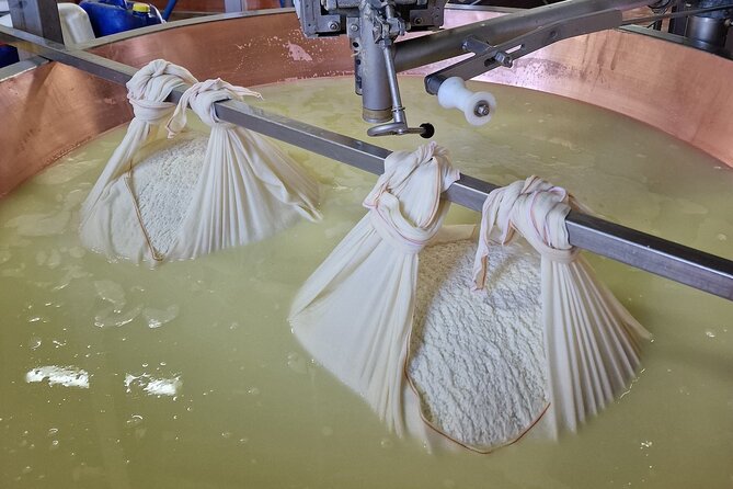 From Bologna: Parmesan Cheese & Balsamic Vinegar Tour+Lunch - Who should book this Bologna day trip?