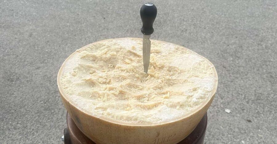 From Bologna: Parmesan Cheese & Balsamic Vinegar Tour+Lunch - Who will enjoy this most