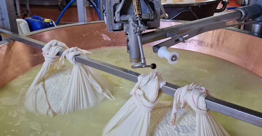From Bologna: Parmesan, Vinegar, Lambrusco with Transfer - Starting in Bologna or Modena