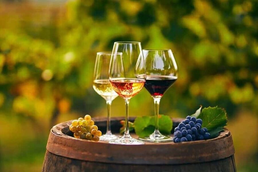From Chania: Olive Oil, Wine, Cheese & Honey Tasting Tour - Why this $49 food tour offers good value
