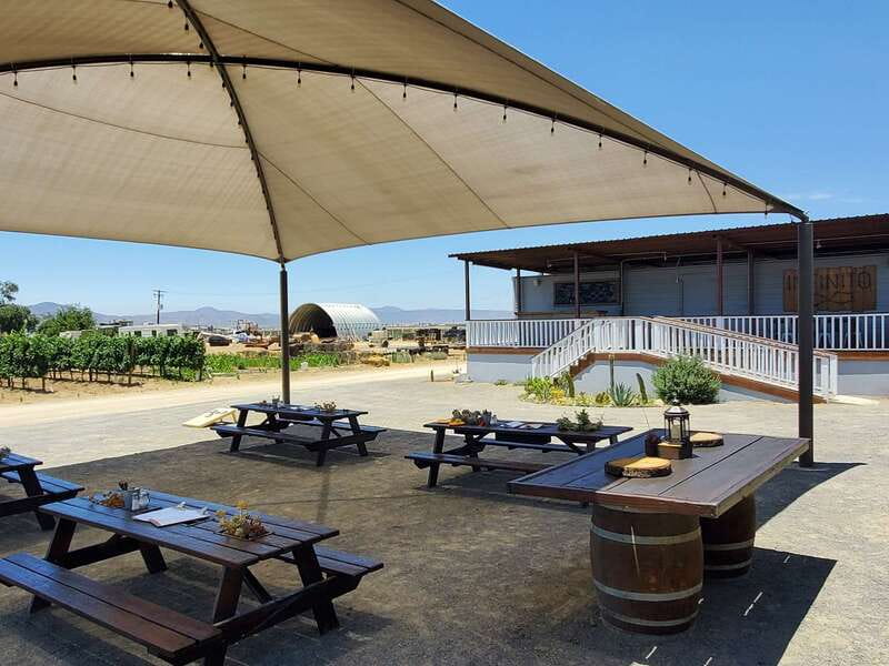 From Ensenada: Ojos Negros Valley Cheese & Wine Tasting Tour - Cancellation and pickup details worth knowing