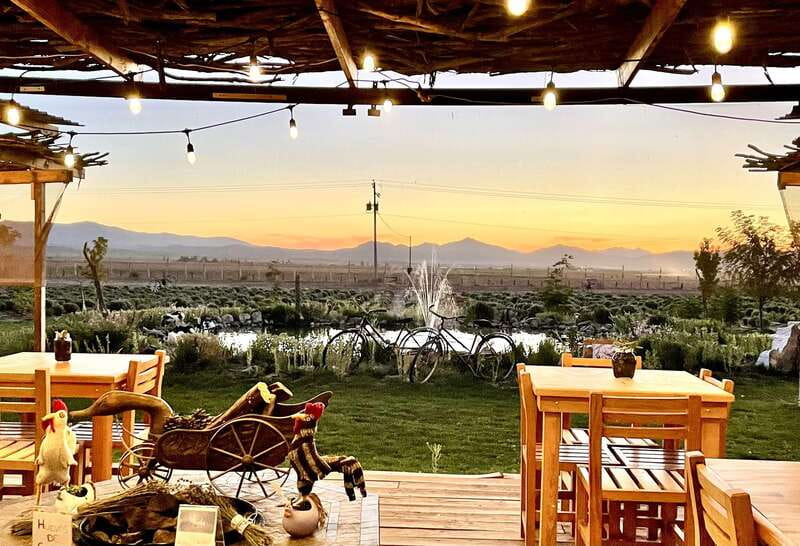 From Ensenada: Ojos Negros Valley Cheese & Wine Tasting Tour - Why Ojos Negros makes a good day trip from Ensenada