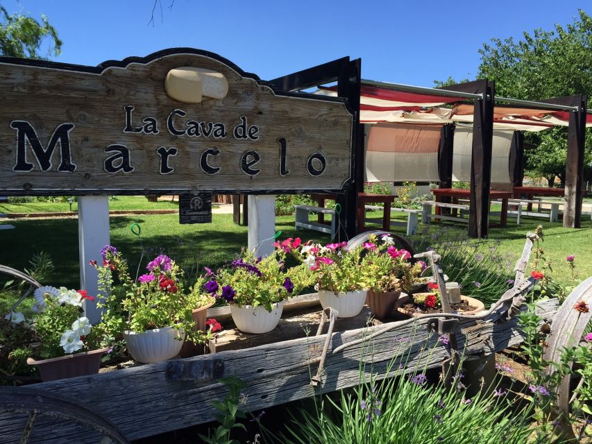 From Ensenada: Ojos Negros Valley Cheese & Wine Tasting Tour - Who will enjoy this tour most