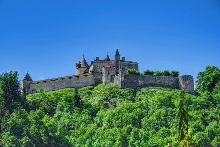 From Geneva: Gruyères Private Tour Cheese & Chocolat Factory - The Lavaux terraces and Lake Geneva viewpoint
