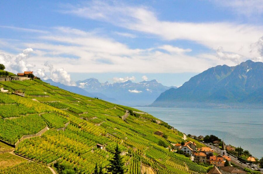 From Geneva: Gruyères Private Tour Cheese & Chocolat Factory - Booking details worth checking
