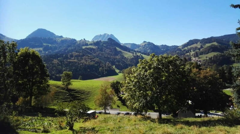 From Geneva: Gruyères Tour with Cheese & Chocolate Factories - Gruyères village, the day’s best hour
