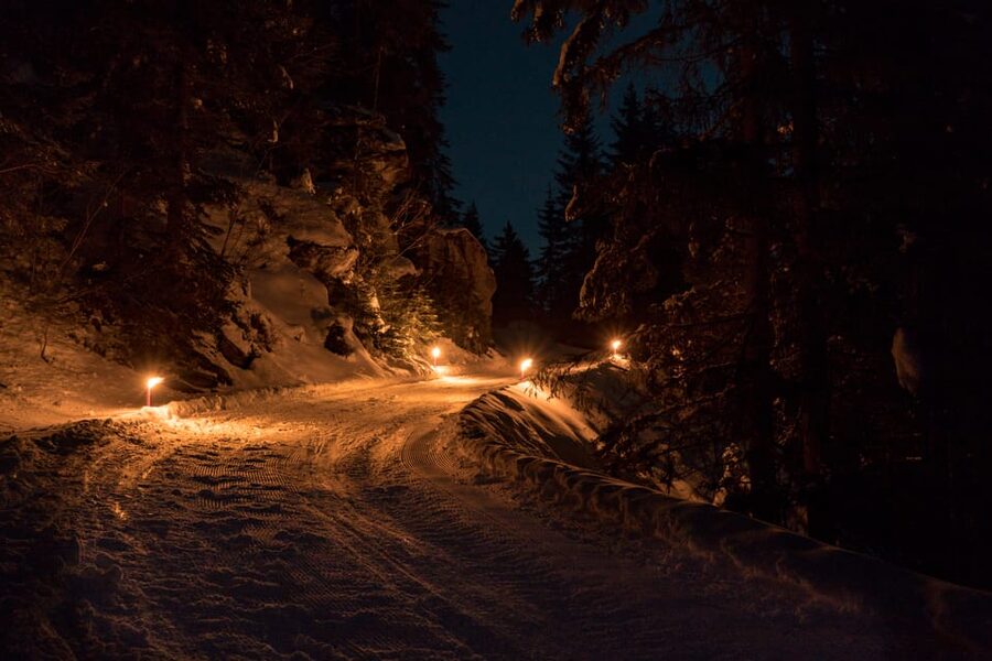 From Interlaken: Night Sledding with Cheese Fondue Dinner - What the experience gets right