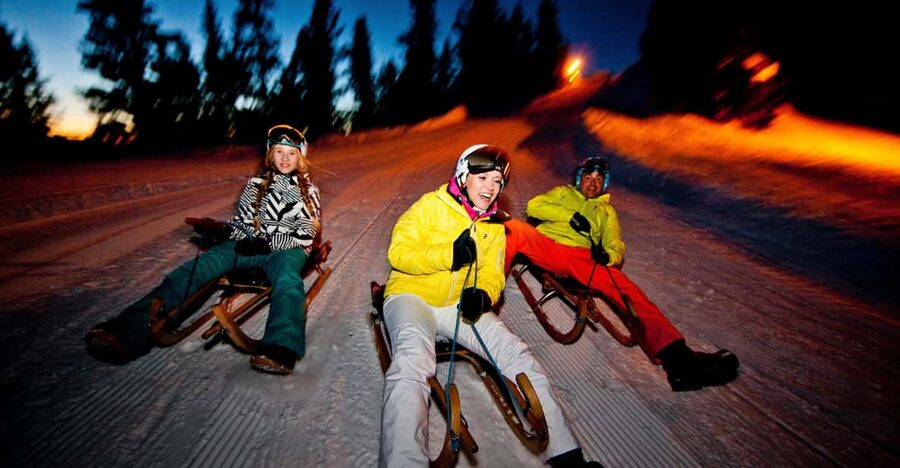 From Interlaken: Night Sledding with Cheese Fondue Dinner - Timing, weather, and flexibility