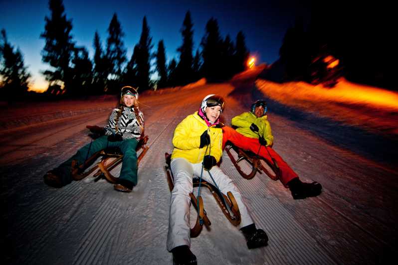 From Interlaken: Night Sledding with Cheese Fondue Dinner - What the one-hour sled run feels like