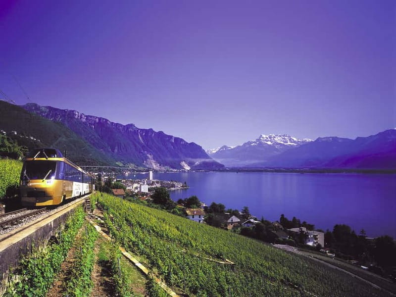 From Lausanne: Gruyères Tour with Train, Chocolate & Cheese - Key points to know before booking
