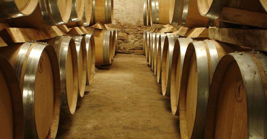 From Marseille: Aix en Provence Wine and Cheese Tour - A full day among Sainte-Victoire vineyards