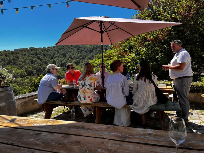 From Marseille: Aix en Provence Wine and Cheese Tour - The first vineyard and the shape of Provence wine