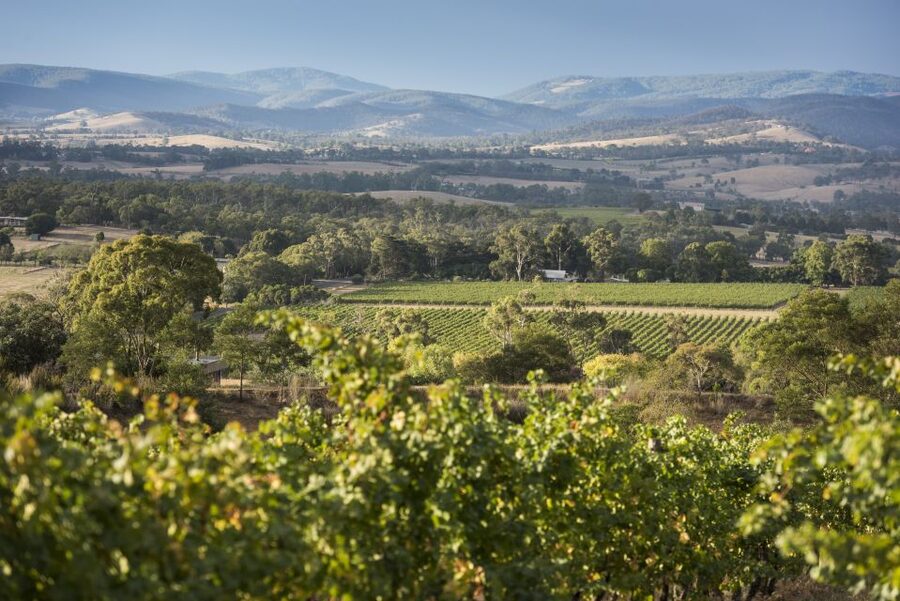 From Melbourne: Yarra Valley Chandon Cheese & Kangaroos Tour - Chocolate at the Yarra Valley Chocolaterie