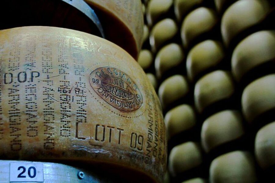 From Parma: Parmesan, Parma Ham & Balsamic Vinegar Tour - First Stop: Seeing Parmigiano-Reggiano Take Shape