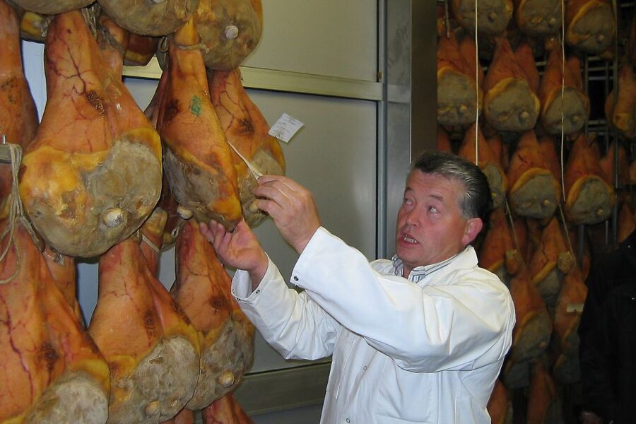From Parma: Parmesan, Parma Ham & Balsamic Vinegar Tour - Guides, Group Size, and the Feel of the Day