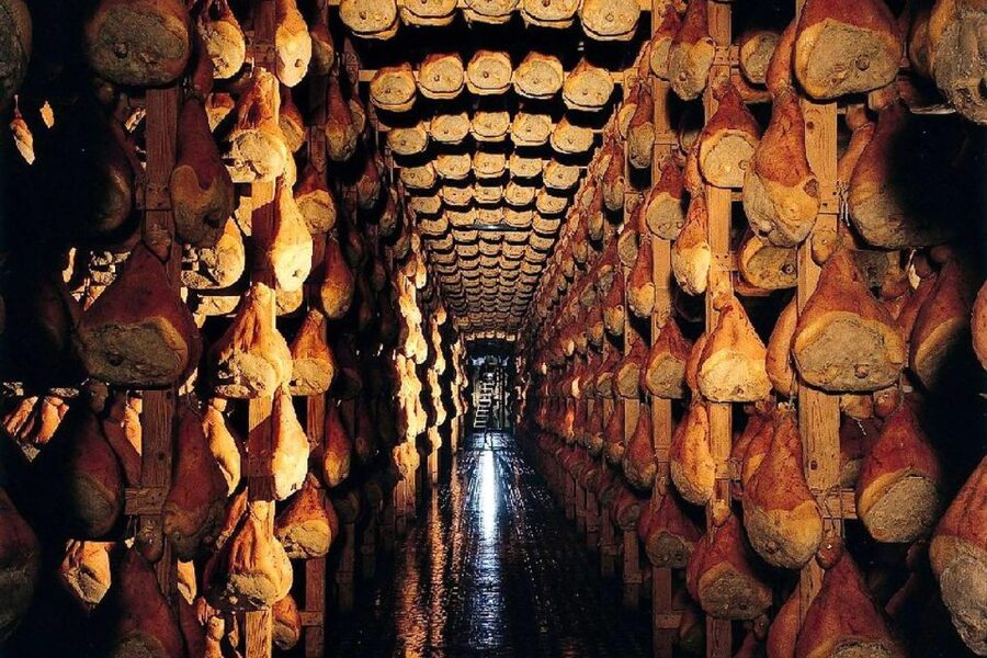 From Parma: Parmesan, Parma Ham & Balsamic Vinegar Tour - Who Should Book This Food Tour?