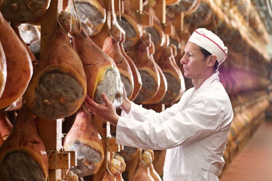 From Parma: Parmigiano and Parma Ham Guided Food Tour - Why this Parma food tour is worth your morning