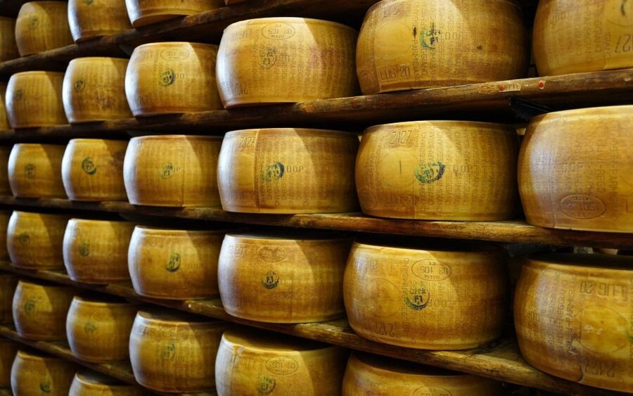 From Parma: Parmigiano and Parma Ham Guided Food Tour - Who will enjoy this tour most
