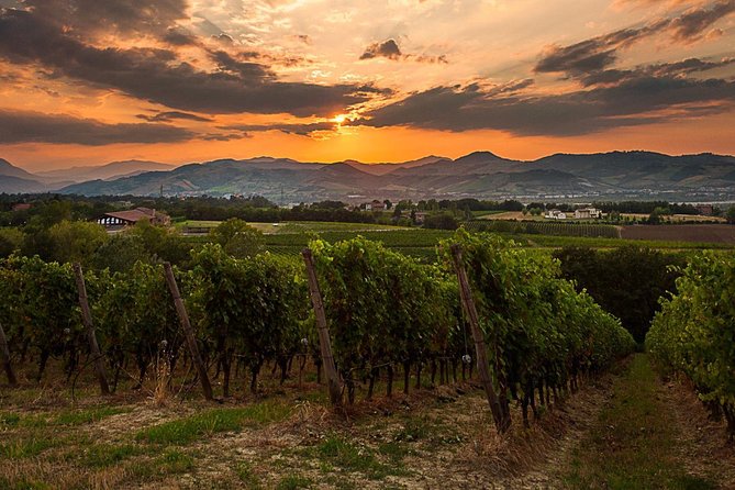 From Parma: Parmigiano,Prosciutto and winery Tour and tasting - How much time you spend in the vehicle